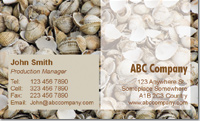 Pet Care, pet store, fish, manta ray, exotic, aquarium, tank, swim, close up, face, 